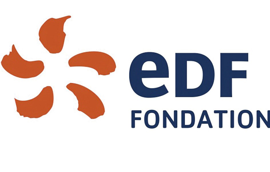Logo EDF France Pays de Gex Divonne énergie eau gaz électricité